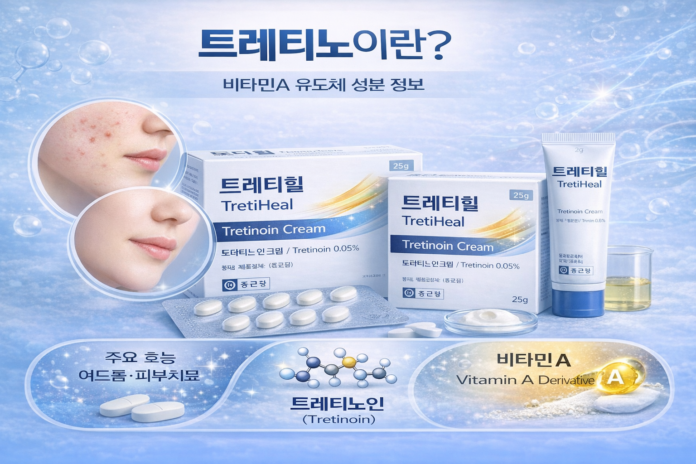 트레티노인이란? 비타민A 유도체 성분 정보
