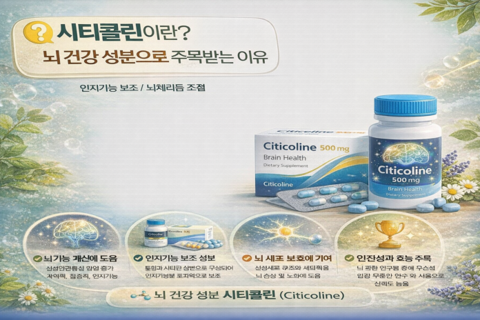 시티콜린이란? 뇌 건강 성분으로 주목받는 이유