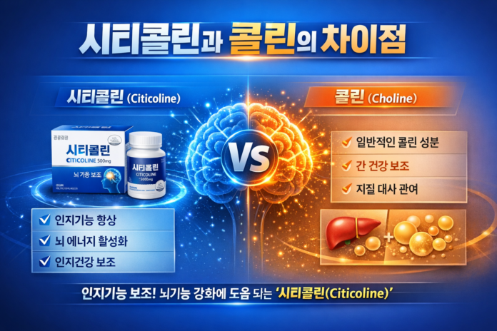 시티콜린과 콜린 성분의 차이점
